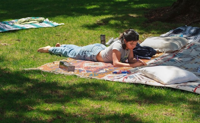 Young person journaling on a blanket in the grass